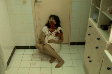 Inside 2007 Movie Scene Alysson Paradis as Sarah holding a big sharp stick locked inside a bloody bathroom