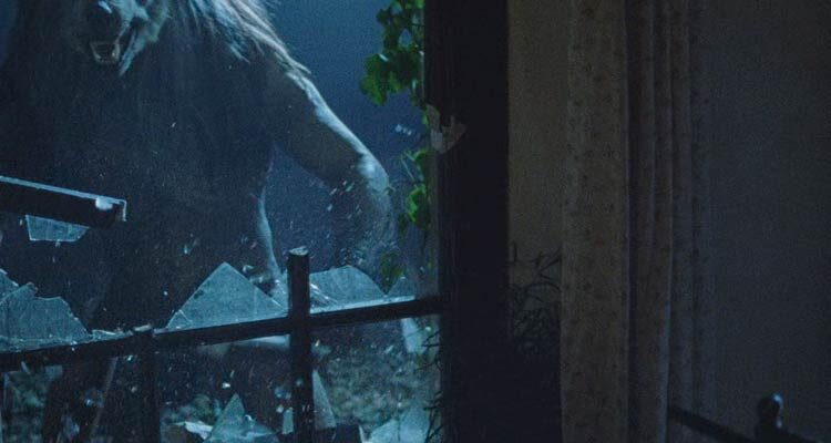 Dog Soldiers 2002 Movie Scene A werewolf broke a window on a house and is trying to get in