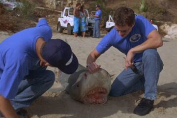 Shark Attack 3 Megalodon 2002 Movie Scene John Barrowman as Ben examining the jaws of a shark that has washed up on a beach