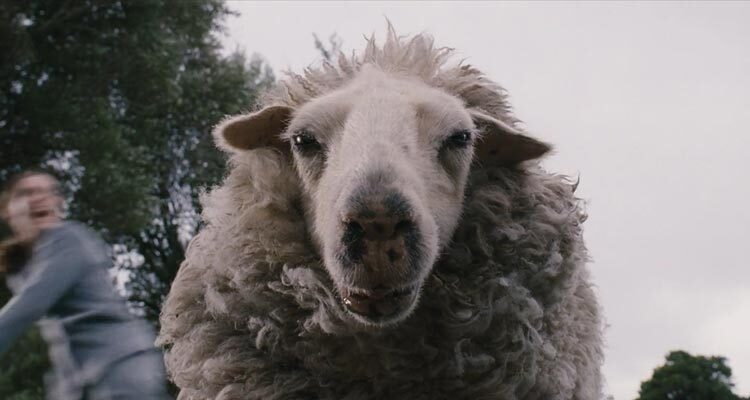 Black Sheep 2006 Movie Scene A killer sheep looking directly into the camera and your soul