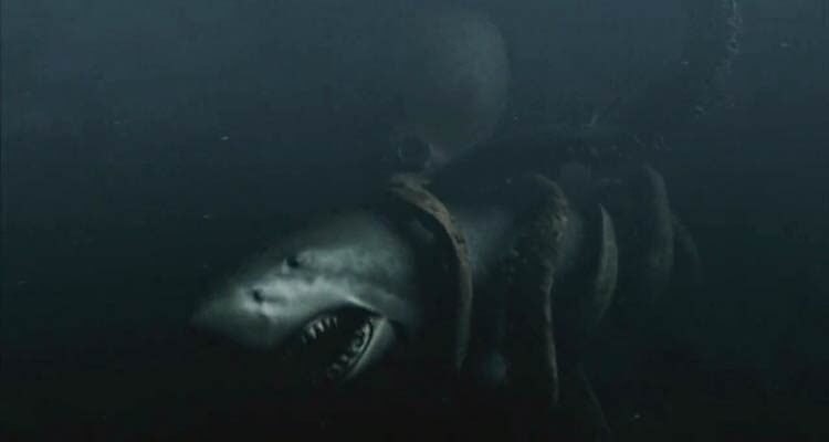 Mega Shark VS Giant Octopus 2009 Movie Scene Mega Shark and Giant Octopus locked in mortal combat underwater