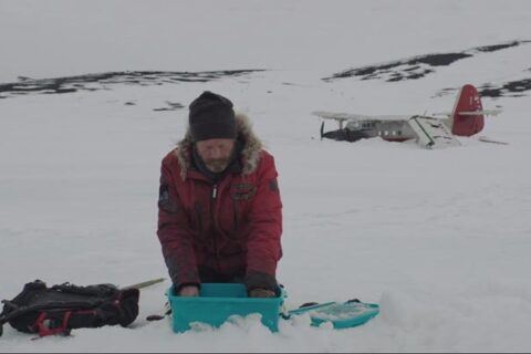 Arctic 2018 Movie Scene Mads Mikkelsen as Overgård stacking the fish he caught next to the wreckage of his plane