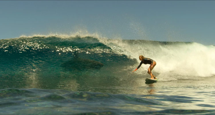 The Shallows 2016 Blake Lively surfing