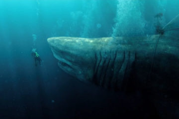 The Meg 2018 Giant shark tied by rope is trying to eat Jason Statham