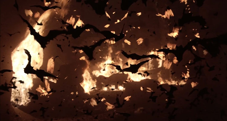 Nightwing 1979 Movie A swarm of bats flying away from a fire behind them