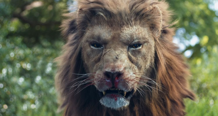 Prey AKA Proii 2016 Movie Scene Lion with blood all over his mouth getting ready to attack
