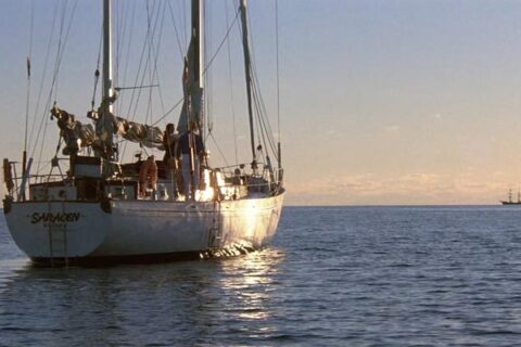 Dead Calm 1989 Movie Scene The yacht Saracen slowly sailing towards the sunset