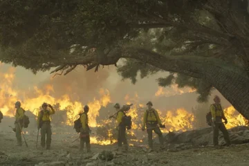 Only The Brave 2017 Movie Scene Firefighters looking at the huge wildfire in front of them next to a big tree