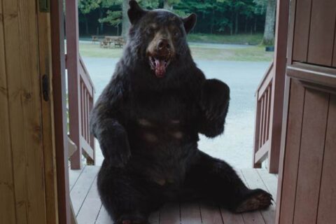 Cocaine Bear 2023 Movie Scene A black bear high on cocaine sitting playfully next to the door